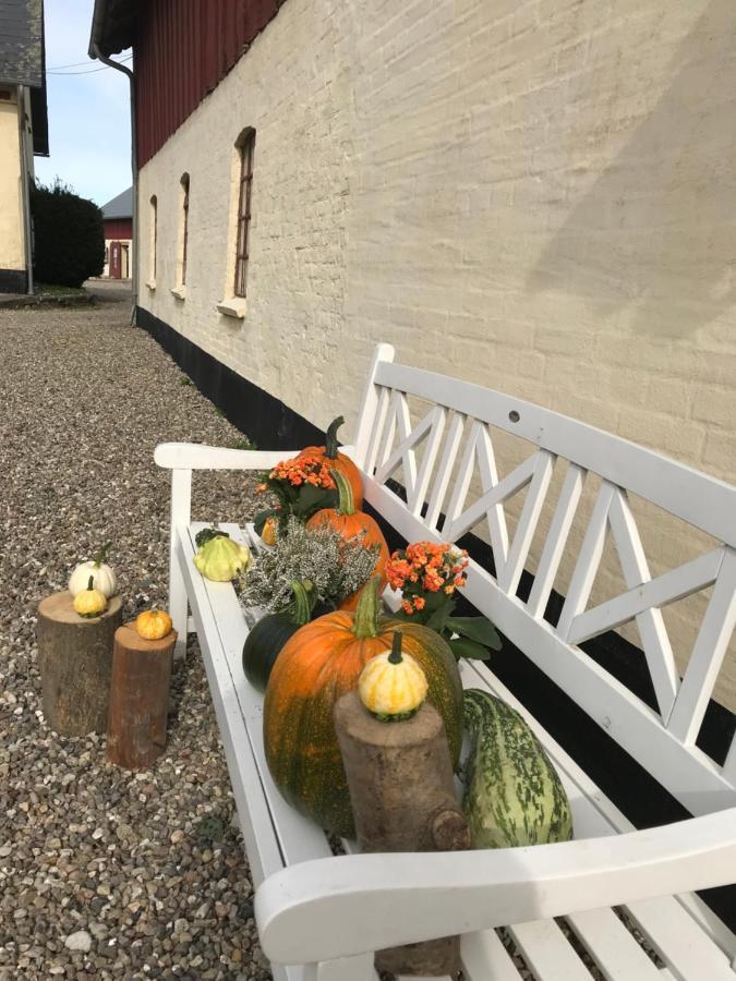 Bremsmaj Farm Holiday Kværs Exterior photo